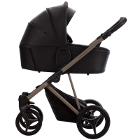 Универсальная коляска Bebetto Pelpasso Pro 04 Kashmir